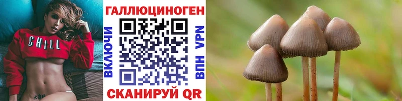 Псилоцибиновые грибы прущие грибы  Горняк 